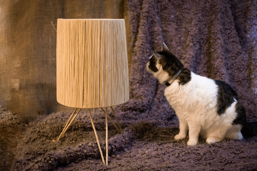 Bast Tischlampe mit Katze